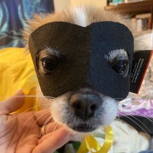 Meet your Posher, Maggie